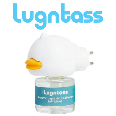 Lugntass