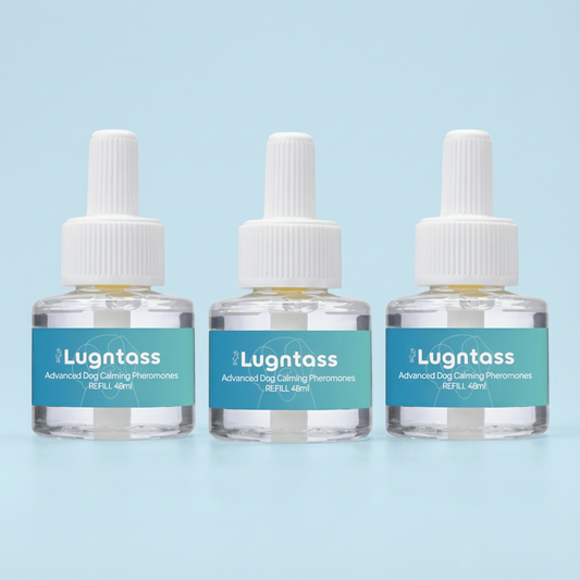 3x Lugntass™ Påfyllning